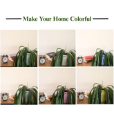 Decor 8 (8 Inches, pack of 6), 6 Color Pots